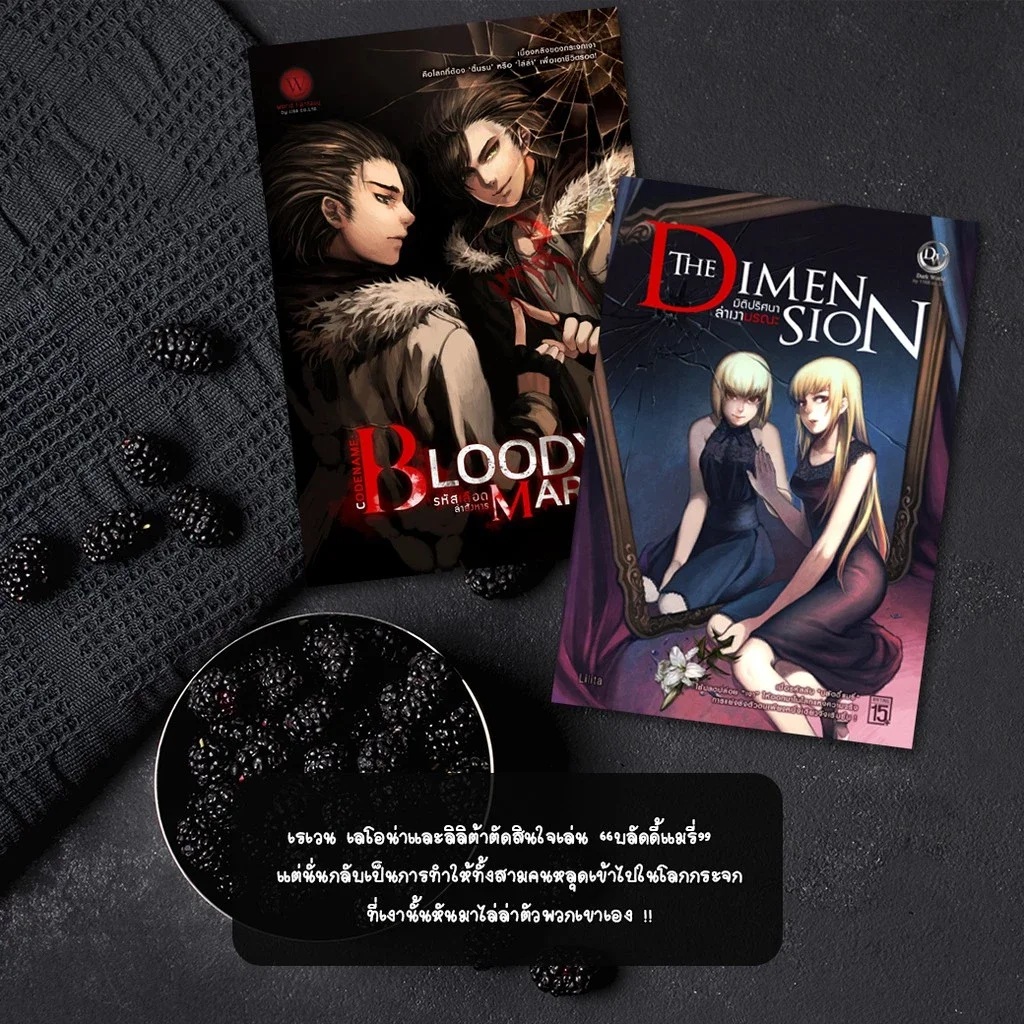 ปกหนังสือ ชุด Bloody Mary & The Dimension 1-2 (จบ)